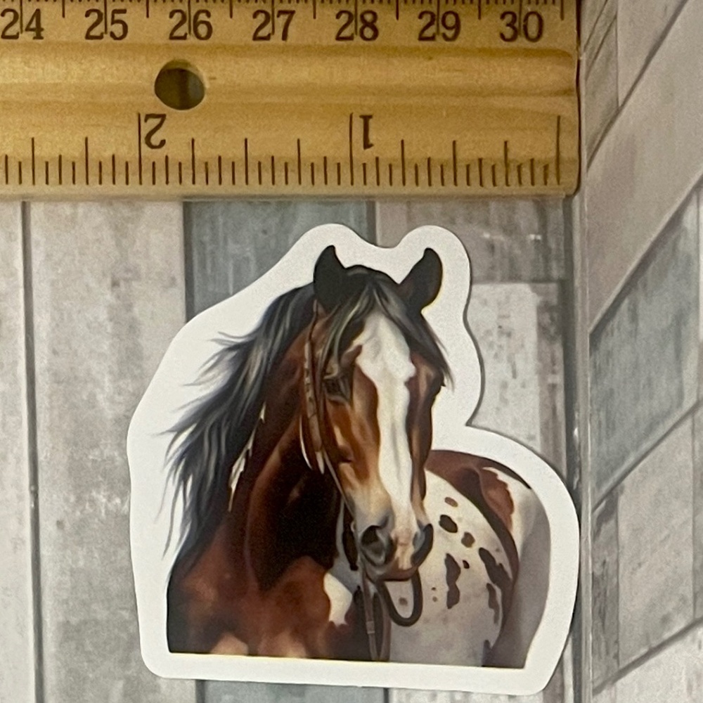 🌀10/$10🌀 Horse Reusable Waterproof Vinyl Sticker Decal